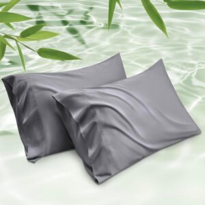 Bedsure Pillow Cases Queen Size Set of 2, Rayon Derived from Bamboo Cooling Pillowcases for Hot Slee